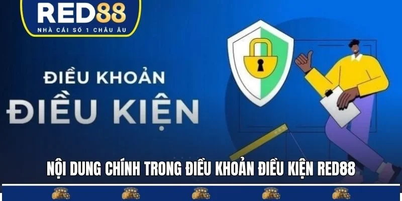 Nội dung chính trong điều khoản điều kiện RED88